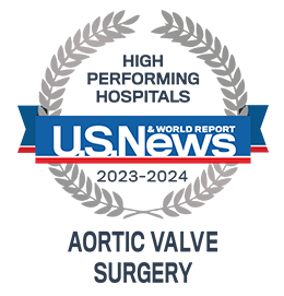 High Performing badge for Abdominal Aortic Valve Surgery